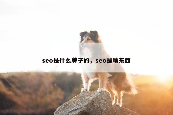 seo是什么牌子的，seo是啥东西