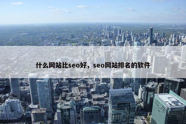 什么网站比seo好，seo网站排名的软件