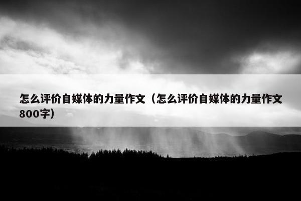 怎么评价自媒体的力量作文（怎么评价自媒体的力量作文800字）