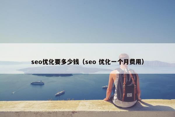 seo优化要多少钱（seo 优化一个月费用）