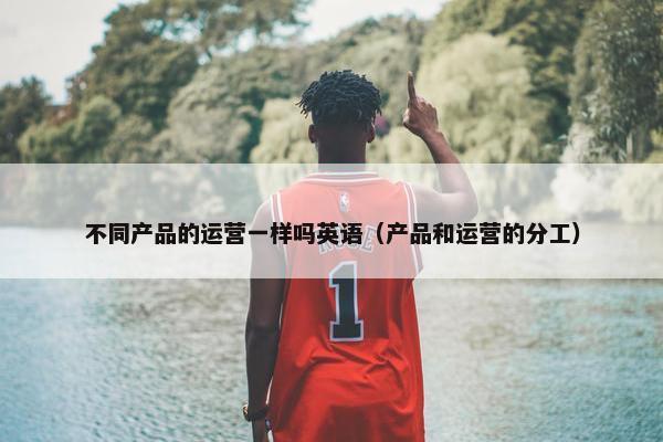 不同产品的运营一样吗英语（产品和运营的分工）