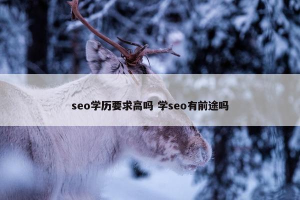 seo学历要求高吗 学seo有前途吗