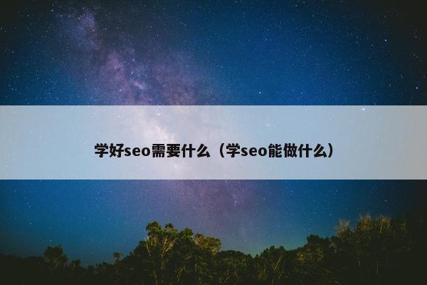 学好seo需要什么（学seo能做什么）