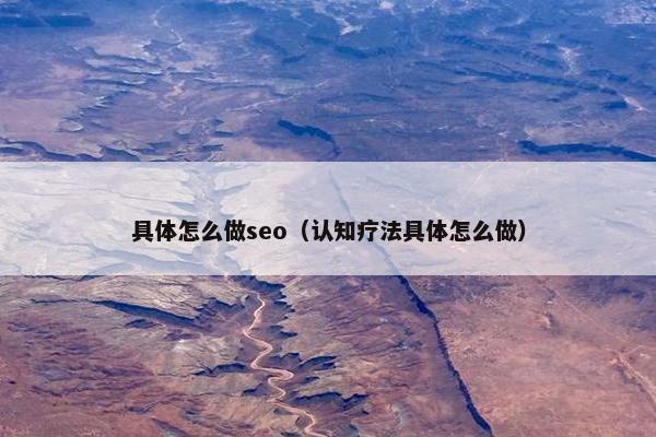 具体怎么做seo（认知疗法具体怎么做）