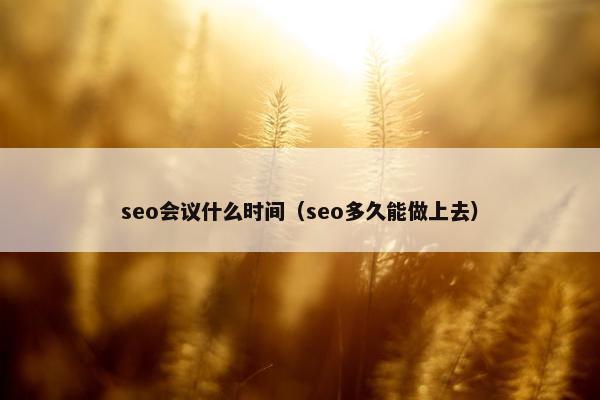 seo会议什么时间（seo多久能做上去）