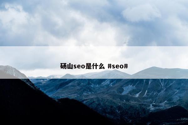 砀山seo是什么 #seo#