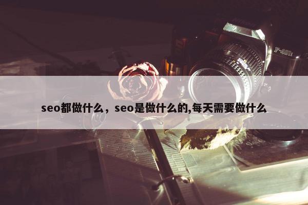 seo都做什么，seo是做什么的,每天需要做什么