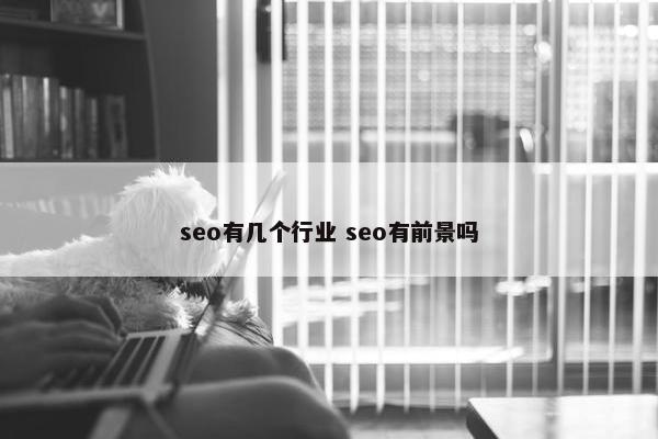 seo有几个行业 seo有前景吗