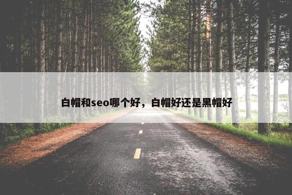 白帽和seo哪个好，白帽好还是黑帽好