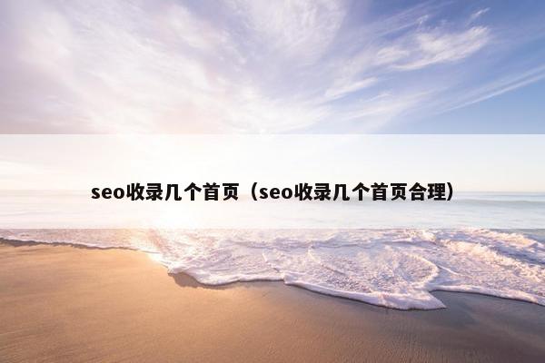 seo收录几个首页（seo收录几个首页合理）