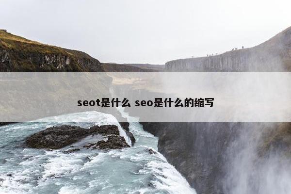 seot是什么 seo是什么的缩写