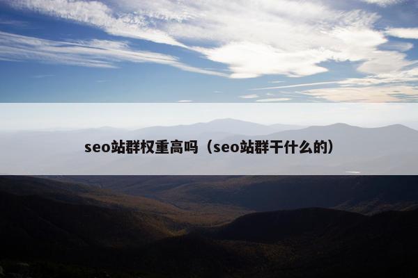 seo站群权重高吗（seo站群干什么的）