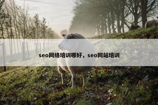 seo网络培训哪好，seo网站培训