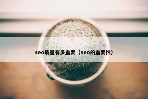 seo质量有多重要（seo的重要性）