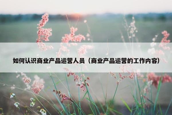 如何认识商业产品运营人员（商业产品运营的工作内容）