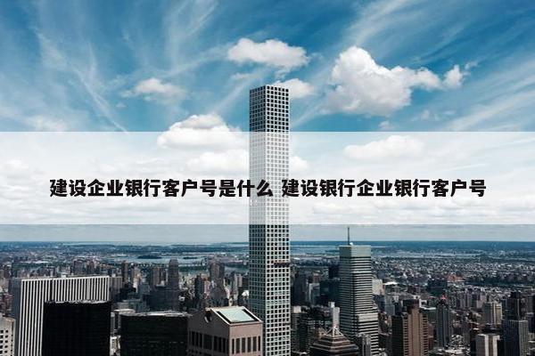 建设企业银行客户号是什么 建设银行企业银行客户号