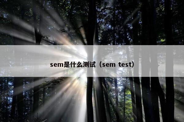 sem是什么测试（sem test）