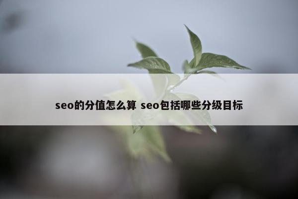 seo的分值怎么算 seo包括哪些分级目标