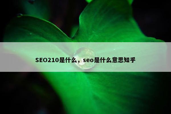 SEO210是什么，seo是什么意思知乎