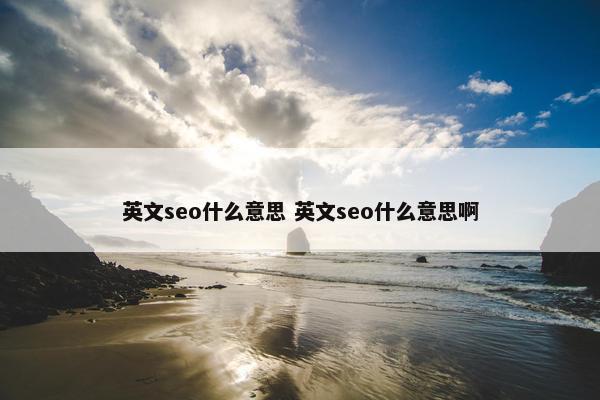 英文seo什么意思 英文seo什么意思啊