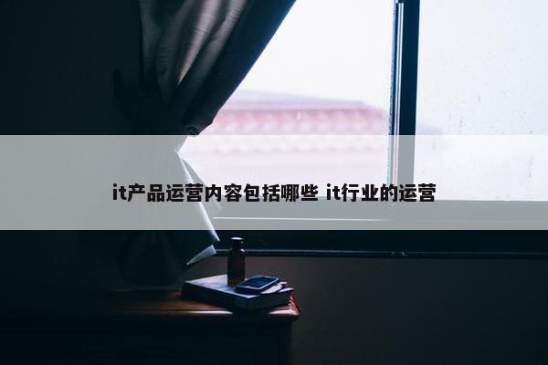 it产品运营内容包括哪些 it行业的运营