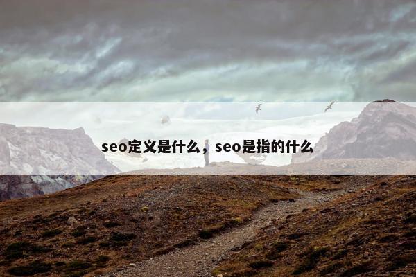 seo定义是什么，seo是指的什么