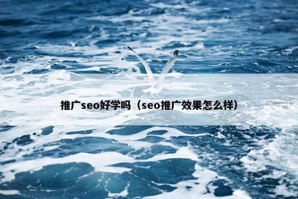 推广seo好学吗（seo推广效果怎么样）