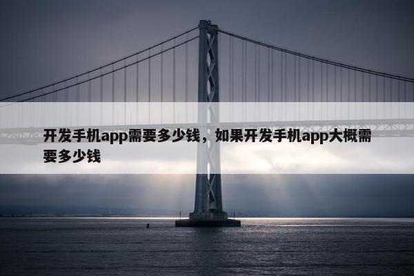 开发手机app需要多少钱，如果开发手机app大概需要多少钱