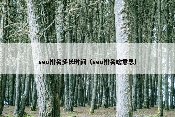 seo排名多长时间（seo排名啥意思）