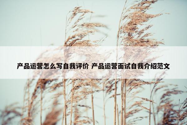 产品运营怎么写自我评价 产品运营面试自我介绍范文