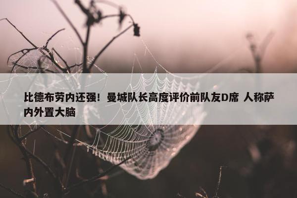 比德布劳内还强！曼城队长高度评价前队友D席 人称萨内外置大脑