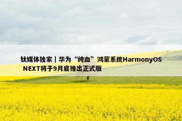 钛媒体独家｜华为“纯血”鸿蒙系统HarmonyOS NEXT将于9月底推出正式版