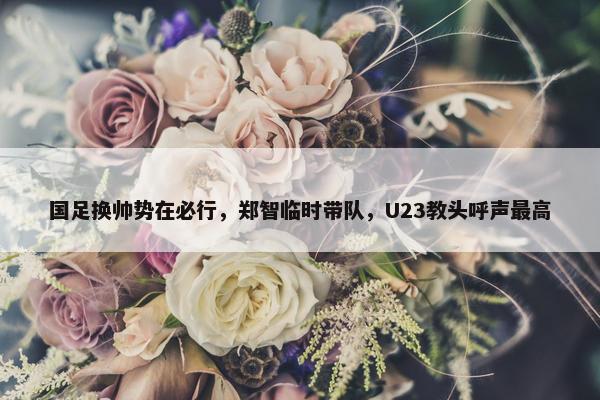 国足换帅势在必行，郑智临时带队，U23教头呼声最高