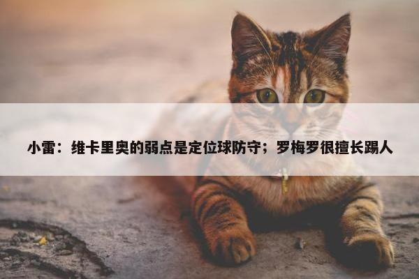 小雷：维卡里奥的弱点是定位球防守；罗梅罗很擅长踢人