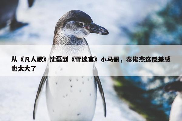 从《凡人歌》沈磊到《雪迷宫》小马哥，秦俊杰这反差感也太大了