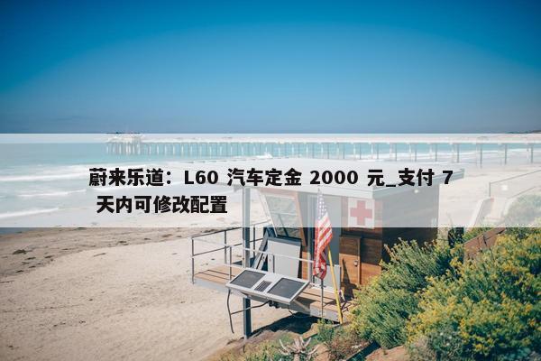 蔚来乐道：L60 汽车定金 2000 元_支付 7 天内可修改配置