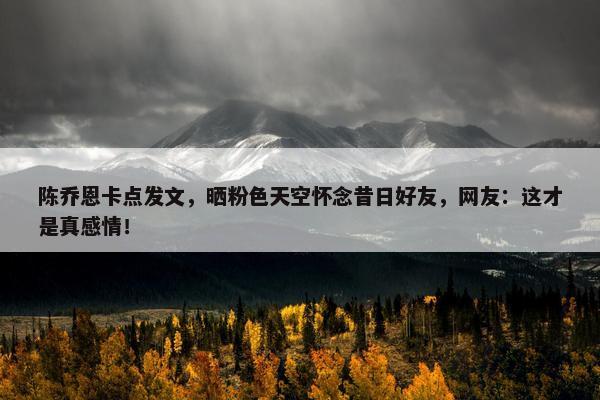 陈乔恩卡点发文，晒粉色天空怀念昔日好友，网友：这才是真感情！