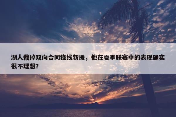 湖人裁掉双向合同锋线新援，他在夏季联赛中的表现确实很不理想？