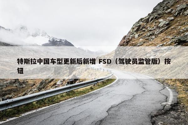 特斯拉中国车型更新后新增 FSD（驾驶员监管版）按钮