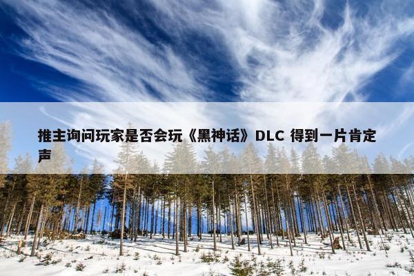 推主询问玩家是否会玩《黑神话》DLC 得到一片肯定声