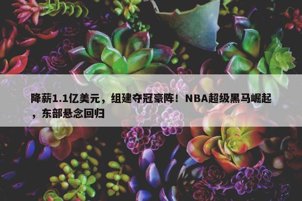 降薪1.1亿美元，组建夺冠豪阵！NBA超级黑马崛起，东部悬念回归