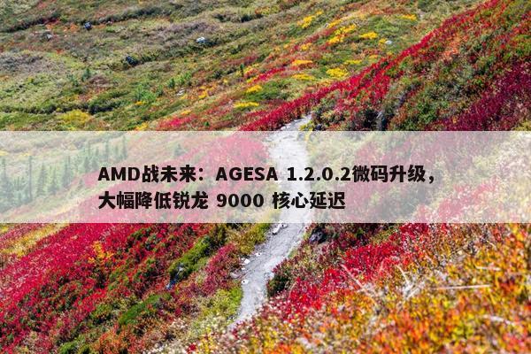 AMD战未来：AGESA 1.2.0.2微码升级，大幅降低锐龙 9000 核心延迟