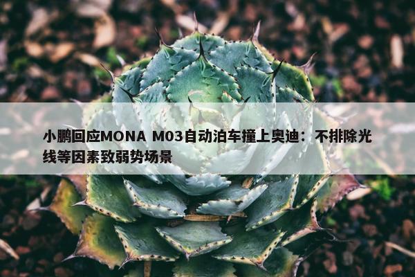 小鹏回应MONA M03自动泊车撞上奥迪：不排除光线等因素致弱势场景