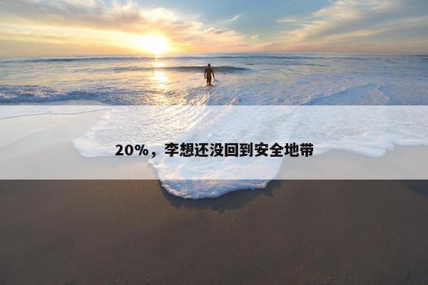 20%，李想还没回到安全地带