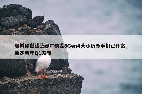 爆料称搭载蓝绿厂骁龙8Gen4大小折叠手机已开案，暂定明年Q1发布