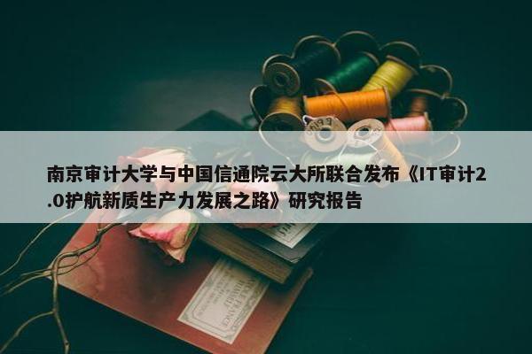 南京审计大学与中国信通院云大所联合发布《IT审计2.0护航新质生产力发展之路》研究报告