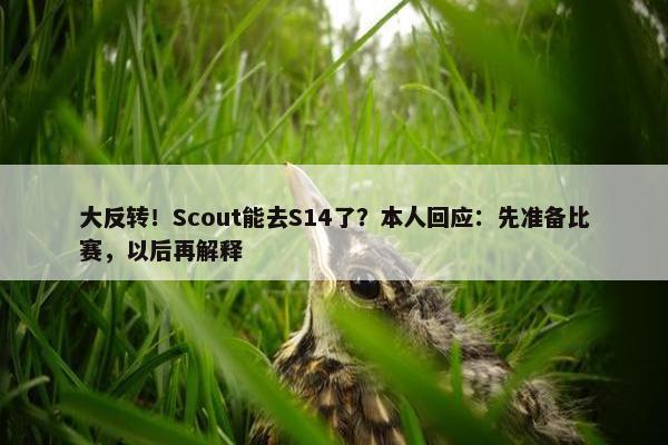 大反转！Scout能去S14了？本人回应：先准备比赛，以后再解释