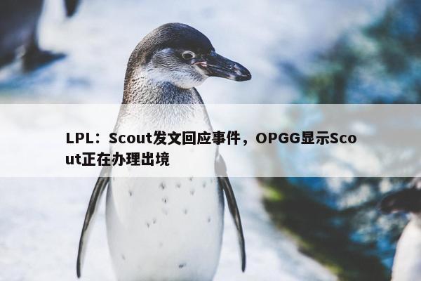 LPL：Scout发文回应事件，OPGG显示Scout正在办理出境