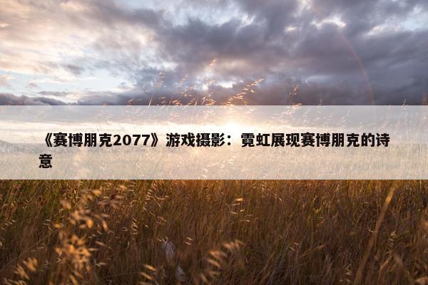 《赛博朋克2077》游戏摄影：霓虹展现赛博朋克的诗意