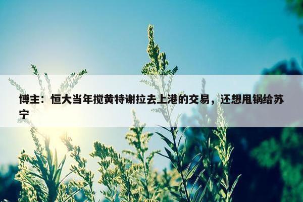 博主：恒大当年搅黄特谢拉去上港的交易，还想甩锅给苏宁